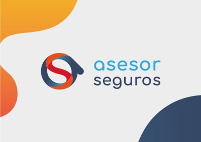 Asesor Seguros